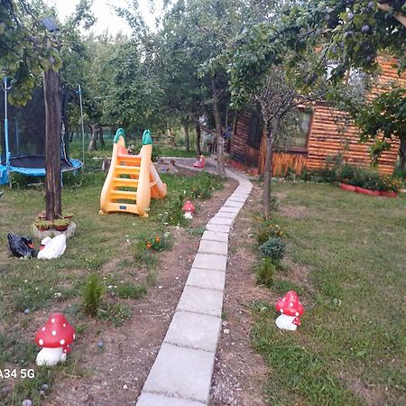 La Tataie Nucsoara Nucsoara (Arges) Luaran gambar
